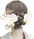 【JZOON】成人式 髪飾り 胡蝶蘭 ドライフラワー ダリア コチョウラン あじさい 和玉 白 ホワイト 水引 七五三 浴衣 袴 着物 飾り 振袖 和装 卒業式 結婚式 ウェディング 花 かわいい 手作り 専用ケース付き X1107