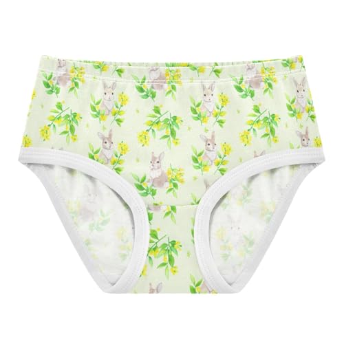 Girls' Underwear Cute Bunny Rabbit Flowers Floral Toddle Brief Panties 2302942