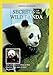 Secrets of the Wild Panda