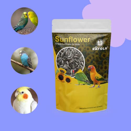 Image of Natural Sunflower Seeds For Birds - 1Kg, Rich In Vitamins & Minerals, All Life Stages