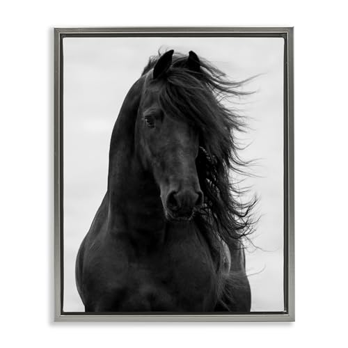 'Black Stallion Horse Portrait'| Floating Frame Canvas Art
