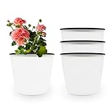 🌼【Maceta】- Dimensiones: 16 cm de diámetro x 14 cm de altura; Nota: No se incluyen las plantas solo con fines de demostración.
