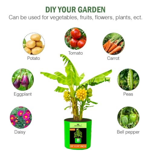 Image of Kingwell grow bags 24X24 inch pack of 5 For Terrace Garden Vegetable Plant Grow Bags Fruits Growing Containers For terrece Gardening