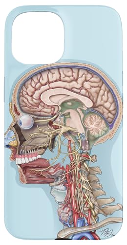 Head & Neck Anatomy Case for iPhone 15