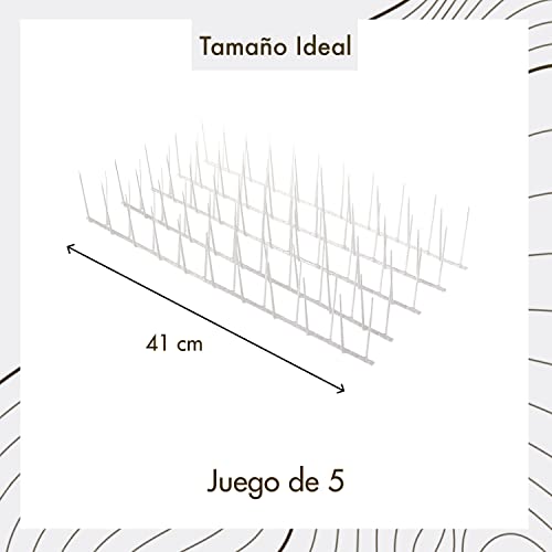 Bird Blinder Plastic Bird Spikes - Polycarbonate Deterrent For Pigeons And Other Small Birds - Bird Nest Prevention, Bird Repellent Outdoor Devices (16 Foot Coverage) #TOP3