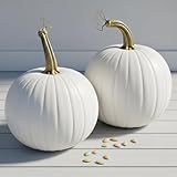 Polar Bear Pumpkin Seeds for Planting (10 Seeds) – Rare Giant White Pumpkin Variety – Grow Stunning 50–75 lb Pumpkins – Perfect for White Ghost Jack-O’-Lanterns and Fall Displays
