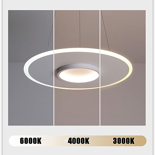 Plafonnier suspendu LED dimmable à hauteur réglable 39W - 3