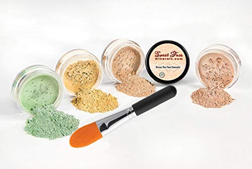 CONCEALER & CORRECTOR KIT with BRUSH Mineral Makeup Set Bare Skin Matte Powder (20 gram Sifter Jars, Medium Concealer)