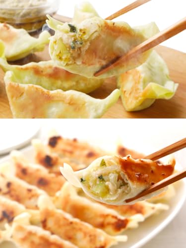 Green 餃子 業務用 (プレーン・ジェノベーゼ味各1袋)2袋セット【80個】ヘルシー 菜食 野菜餃子 国産野菜 業務用 2種食べ比べ プラントベース 大豆ミート 植物肉 ヴィーガン ベジタリアン