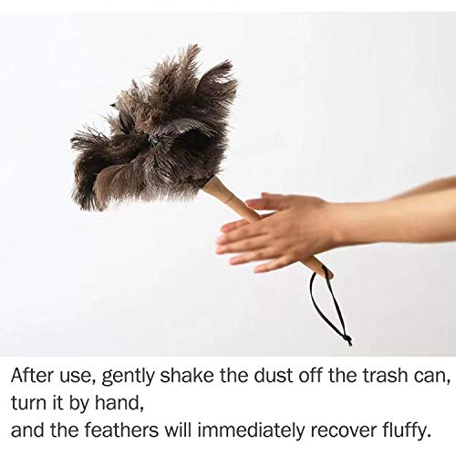 The 30 Best Feather Dusters of 2024 [Verified] Cherry Picks