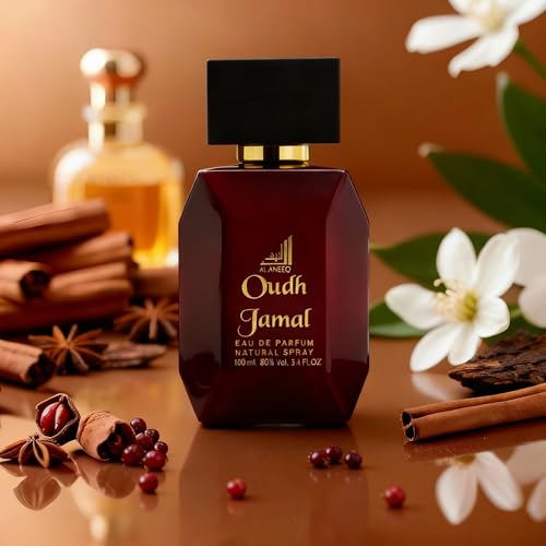 AL ANEEQ Oudh Jamal Perfume for Men | Arabic Perfume Oud for Men Eau de Parfum 100ml - Image 3