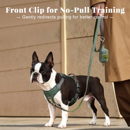 Image of Didog No Pull Dog Harness for Small Dogs, Classic PU Leather, Green, S