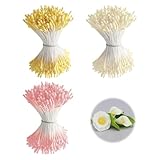 1050stami artificiali per pistilli da 2 mm a doppia testa, stame floreale opaco per realizzare fiori artificiali, steli simulati a forma di malto opaco per fiori fai da te ghirlande