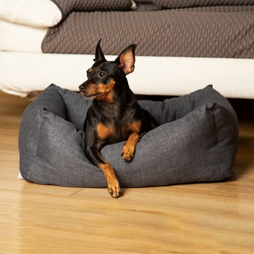 Materasso per Cane rettangolare con bordo rinforzato, M- 60x70 cm - MADE IN ITALY - Morbido Lettino per animali con interno bicolore estraibile, Modello Snuggy - MiaFur