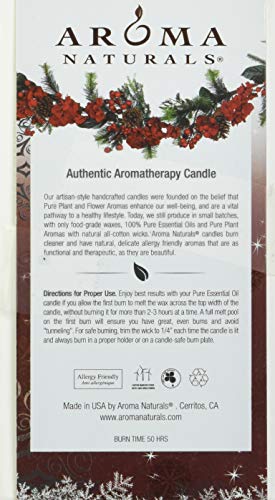 image for Aroma Naturals Holiday Essential Oil Scented Pillar Candle, Orange, Cl