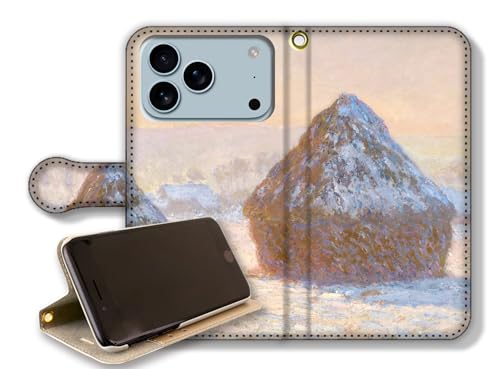 y蒠^X^h@\ziPhone17 Pro Max݊ X}zP[X l yE̖z @ {̋ ς݂ ۔h G |p A[g art (ς݂ ̐̌, xg)