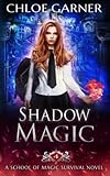 Shadow Magic (School of Magic Survival, Band 4)