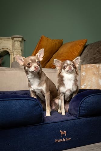 Image of NOAH & PAW Dog Bed, 28x23x11 Inch, Orthopedic Dog Beds for Medium Size Pets, Eggshell Memory Foam Infused with Cooling Gel, Inner Cover, Water Resistant, Machine Washable (Denim Sofa Collection)