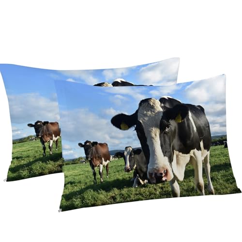Housse de couette 90x190 fermeture éclair parure de lit vache microfibre Prairie - 8