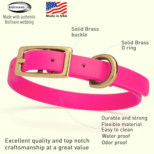 Image of Viper Biothane Heavy Duty Waterproof Dog Collar Strong Coated Nylon Webbing w /Solid Brass Hardware Odor-Proof Easy to Clean High Performance Fits Small Medium or Large Dogs, Passionfruit Pink