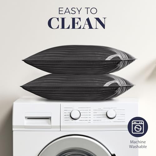 Basic Beyond Bed Pillows for Sleeping - Standard Size Pillows Set of 2 - Luxury Hotel Collection Down Alternative Pillows, Black, 20x26 Inches