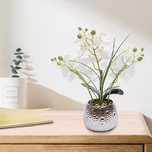 Fleurs de phalaenopsis pour table et salon de style moderne - 6