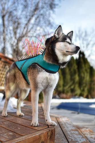 Coyotevest Dog Harness Protection Vest, Reflective Dog Accessories With Spikes To Shield Your Pet From Raptor And Animal Attacks, Proudly Made In America (Small, Turquoise) #TOP6