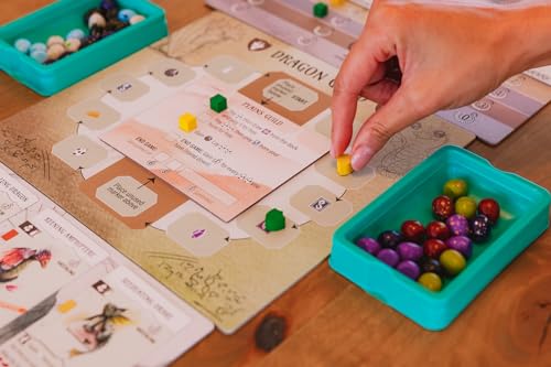 Stonemaier Games: Wyrmspan - A Wingspan Game by Connie Vogelmann | Build a Cavernous Sanctuary for B