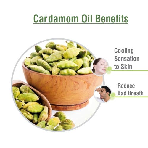 Image of Crysalis Cardamom Oil 50 ml (1.69 fl oz) - Warm Spice Aromatic Oil for Skincare, Haircare, DIY Formulations, Soaps & Cream Blends