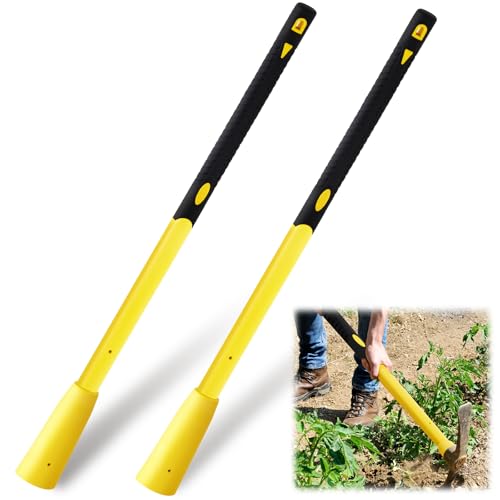 Bucherry 2 Pack 36