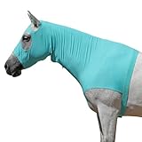 Leberna Capucha elástica de caballo sin orejas con cierre de cremallera que cubre la cara, los hombros, la melena, el pecho y la cruz, perfecta para la preparación de espectáculos y eventos (verde