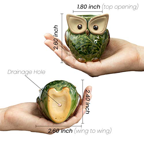 HOMESCAPE CREATIONS Owl Succulent Animal Planter Pot - 2.6 Inch Small Ceramic Glaze Container with Drainage - Tiny Holder for Plants, Flowers, Cactus Set of 6