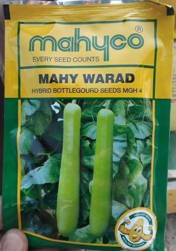 MAHYCO BOTTLEGOURD SEEDS (B081X8S8ZH) Amazon Price History, Amazon Price Tracker