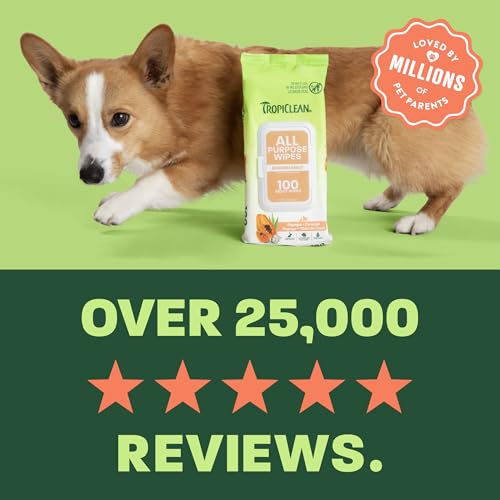 Image of TropiClean Papaya & Coconut Luxury 2-in-1 Pet Wipes, 100ct - Wipes for Dogs & Cats - Gently Removes Dirt, Dander & Smells - for Pet Paws, Face, Body & Bottom - Tropical Papaya & Coconut Scent