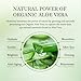 Aloderma 99% Organic Aloe Vera Gel for Face Made within 12 Hours of Harvest - Natural Hydrating Pure Aloe Vera for Soothing Skincare - Moisturizing Aloe Gel for Skin, Face, & Sensitive Skin, 4.02 oz