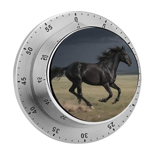 60 Minute Visual Wind Up Timer, Mechanical Kitchen Timer with Magnetic Base & Loud Alarm, Battery-Free Manual Horse Countdown Clock for Focus Cooking Studying Gaming Classroom