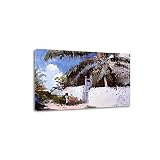 ZHPLIX Winslow Homer Impressions d'art giclées Tableaux sur toile Reproductions Tableaux célèbres Un jardin à Nassau Image d'art mural sur toile 90 x 135 cm encadré