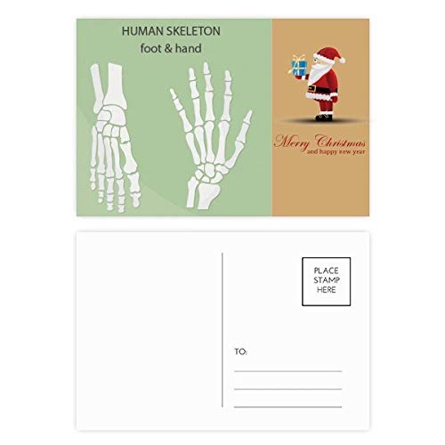 Cartes postales squelette et Père Noël : transmettez des émotions mémorables
