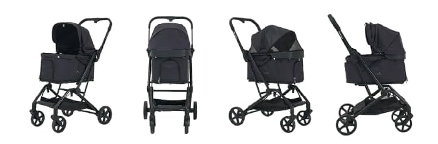 Amazon | Royal Tails Florence ロイヤルテイルズ フローレンス