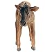 FUNSHOWCASE African Jungle Animals Young Wildebeest Calf Toy Figure Realistic Plastic Figurine Height 1.8-inch