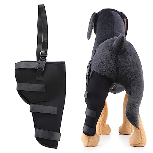 nikkai؁j T|[^[ 둫 E ^ ^ ^ ֐߃T|[^[ ֐߃veN^[ GT|[^[ ֐ߕی V pi pXSTCY