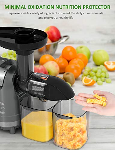 Masticating Juicer, Homgeek Cold Press Juicer with Quiet Motor, Slow Juicer for Vegetables, Wheatgrass and Fruits