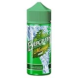 evergreens Aromakonzentrat niemals pur dampfen - Nur in Verbindung mit einem Basisliquid dampfen