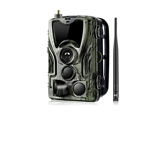 쐶̓ PR600JtHggbv12mpԎo[VgCT[}C[WrfIgK[Xs[h0.8S(3G LTE US)