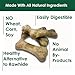 Bonies Natural Breath and Dental Formula Large-Sized Single Bone - All-Natural Ingredients, Fresh Breath, Cleans Teeth, Low Calories, Chicken Flavor, 5 Bones