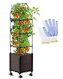 MQUPIN Raised Garden Bed Planter Boxes with Trellis,52''Self-Watering Tomato Planter Boxes with Trellis for Climbing Vegetables Plants Flowers Tomatoes with Wheels,Use for Indoor Outdoor(1 Pack)