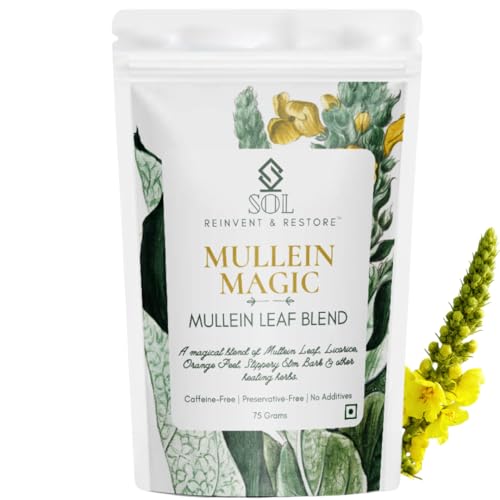 SOL - Reinvent & Restore Mullein Tea For Lungs Detox (75 G) With Licorice,Ginger,Clove|Clears Mucus & Tar,Throat Relief & Improves Respiratory Health|Rich In Antioxidants & Vitamin C|Loose Leaf