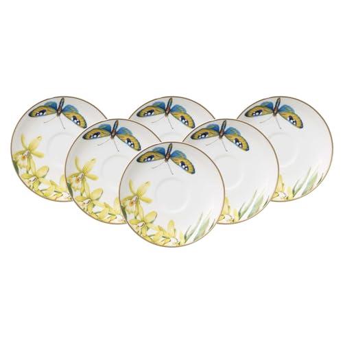 Villeroy & Boch Amazonia Anmut - Juego de 6 platillos para café (12 cm, porcelana, varios colores)