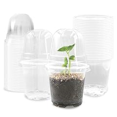 Clear Pots With Domes-40p