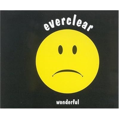 Wonderful 3 Tracks by Everclear